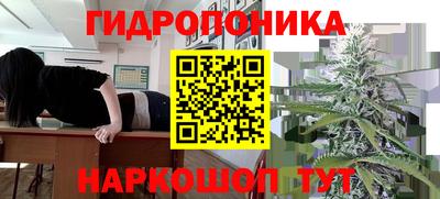 ешки Пенза