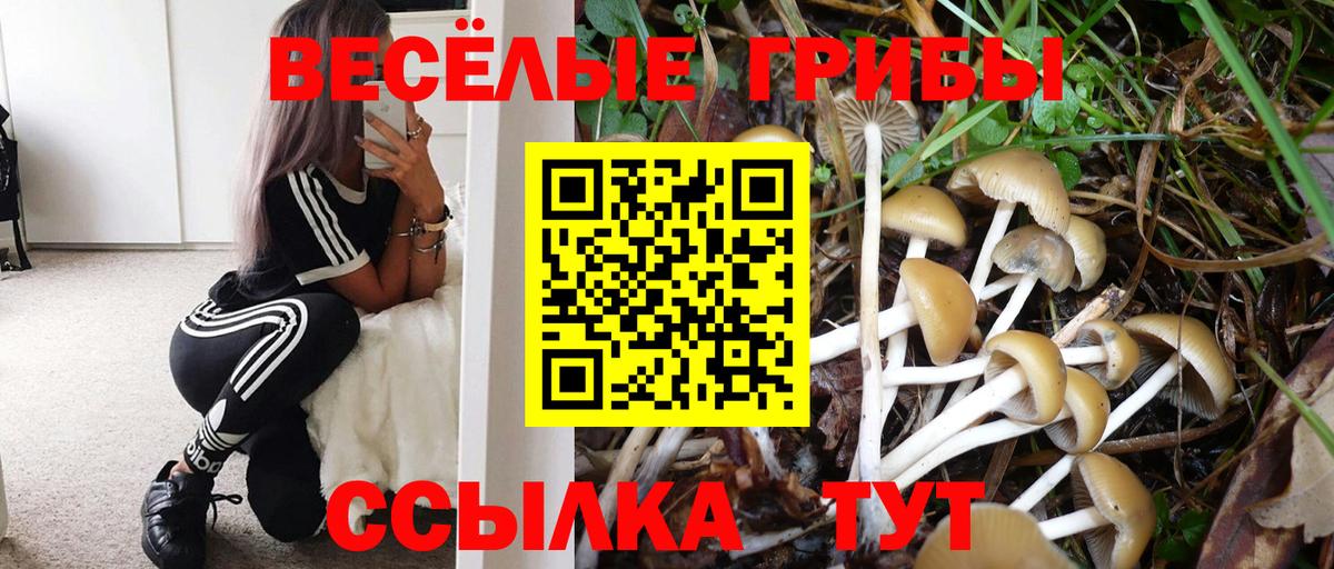 Галлюциногенные грибы MAGIC MUSHROOMS Подольск